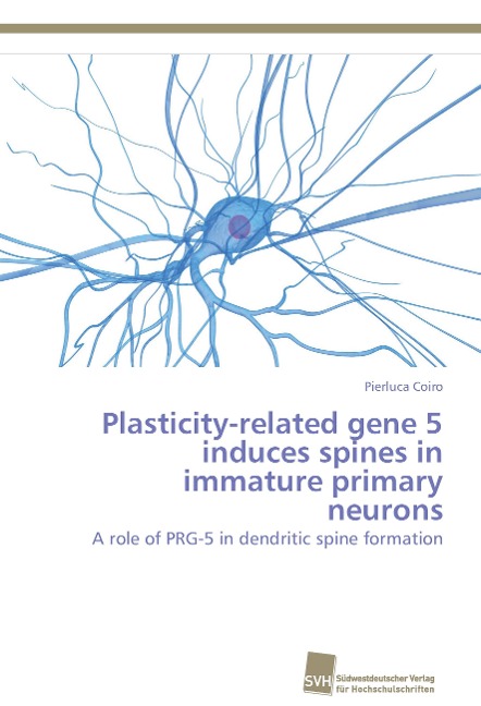 Plasticity-related gene 5 induces spines in immature primary neurons: A role of PRG-5 in dendritic spine formation