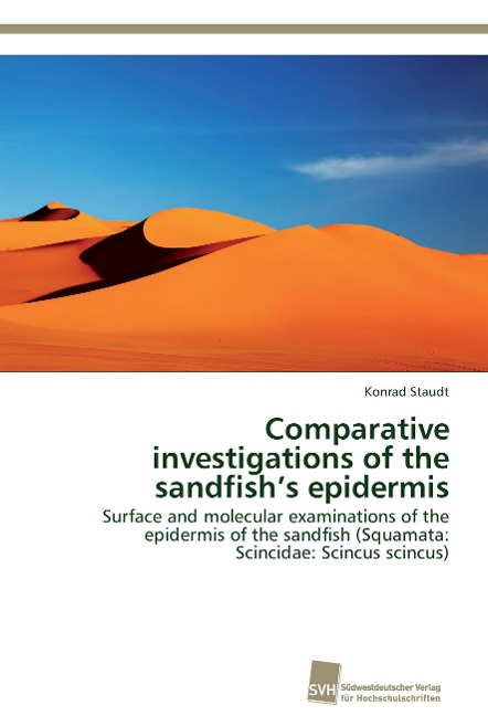 Comparative investigations of the sandfishs epidermis: Surface and molecular examinations of the epidermis of the sandfish (Squamata: Scincidae: Scincus scincus)