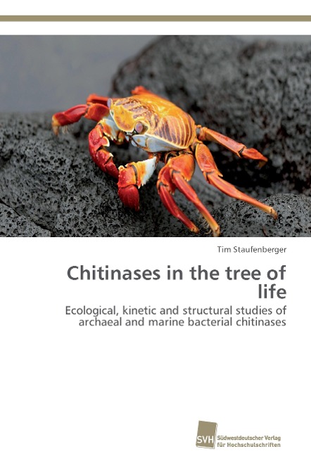 Chitinases in the tree of life: Ecological, kinetic and structural studies of archaeal and marine bacterial chitinases