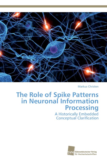 The Role of Spike Patterns in Neuronal Information Processing: A Historically Embedded Conceptual Clarification