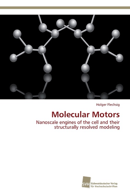 Molecular Motors: Nanoscale engines of the cell and their structurally resolved modeling