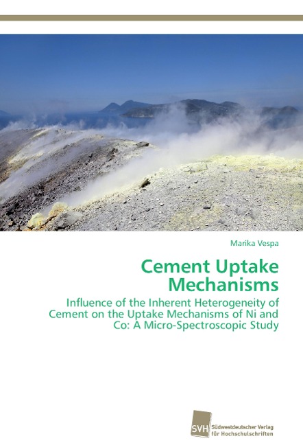 Cement Uptake Mechanisms: Influence of the Inherent Heterogeneity of Cement on the Uptake Mechanisms of Ni and Co: A Micro-Spectroscopic Study
