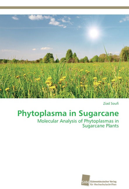 Phytoplasma in Sugarcane: Molecular Analysis of Phytoplasmas in Sugarcane Plants