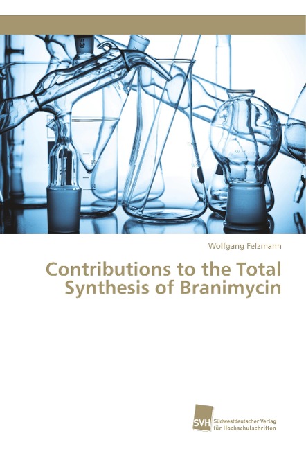 Contributions to the Total Synthesis of Branimycin