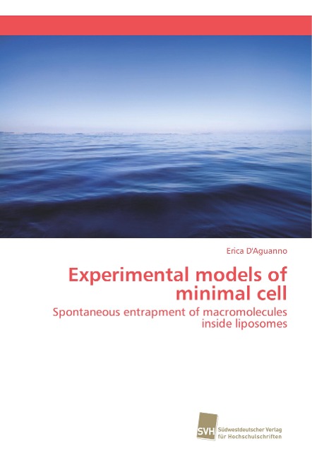 Experimental models of minimal cell: Spontaneous entrapment of macromolecules inside liposomes