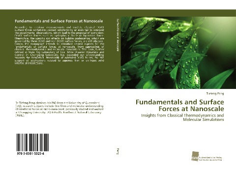 Fundamentals and Surface Forces at Nanoscale: Insights from Classical Thermodynamics and Molecular Simulations