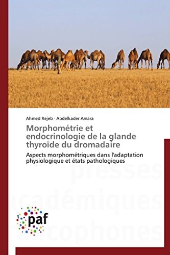 Morphométrie Et Endocrinologie de la Glande Thyroïde Du Dromadaire