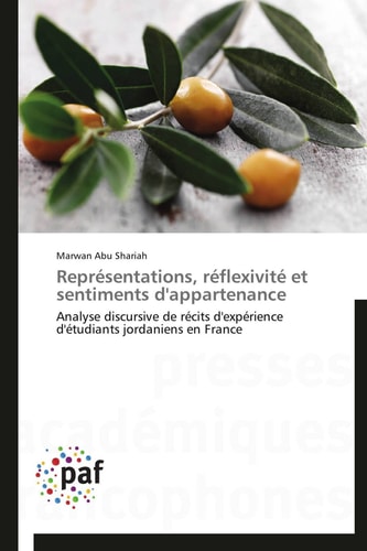 Représentations, Réflexivité Et Sentiments D'Appartenance