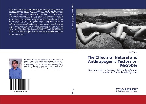 The Effects of Natural and Anthropogenic Factors on Microbes: Decomposing the Emergent Macrophyte Scirpus Lacustris in Prairie Aquatic Systems
