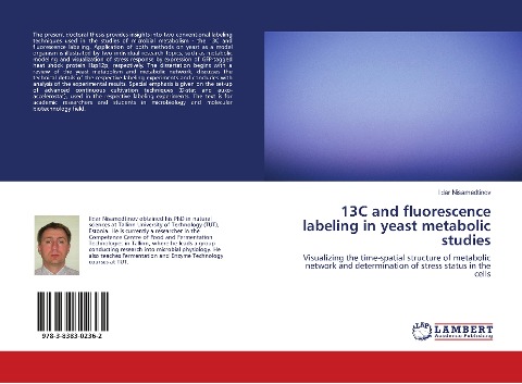 13C and fluorescence labeling in yeast metabolic studies: Visualizing the time-spatial structure of metabolic network and determination of stress status in the cells