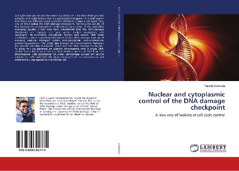 Nuclear and cytoplasmic control of the DNA damage checkpoint: A new way of looking at cell cycle control