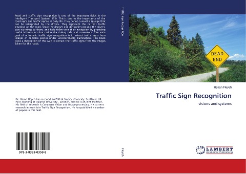 Traffic Sign Recognition: visions and systems