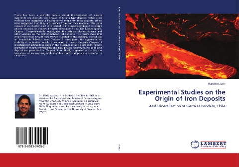 Experimental Studies on the Origin of Iron Deposits: And Mineralization of Sierra La Bandera, Chile