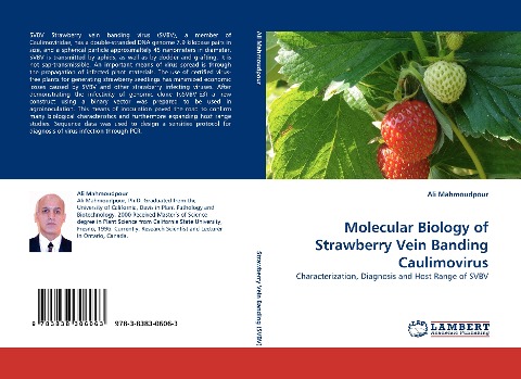 Molecular Biology of Strawberry Vein Banding Caulimovirus: Characterization, Diagnosis and Host Range of SVBV