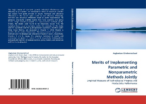 Merits of Implementing Parametric and Nonparametric Methods Jointly: Empirical Measures of Technological Progress and Productivity Performance