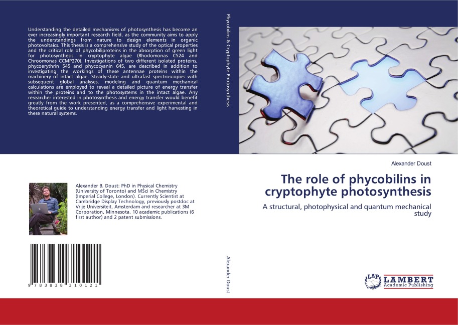 The role of phycobilins in cryptophyte photosynthesis: A structural, photophysical and quantum mechanical study