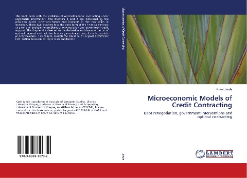 Microeconomic Models of Credit Contracting: Debt renegotiation, government interventions and optimal contracting