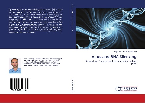 Virus and RNA Silencing: Polerovirus P0 and its mechanism of action in host plant