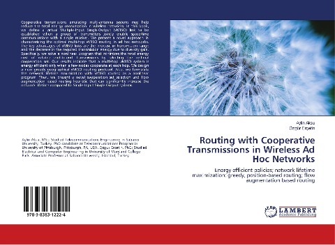 Routing with Cooperative Transmissions in Wireless Ad Hoc Networks: Energy efficient policies; network lifetime maximization; greedy, position-based routing; flow augmentation based routing