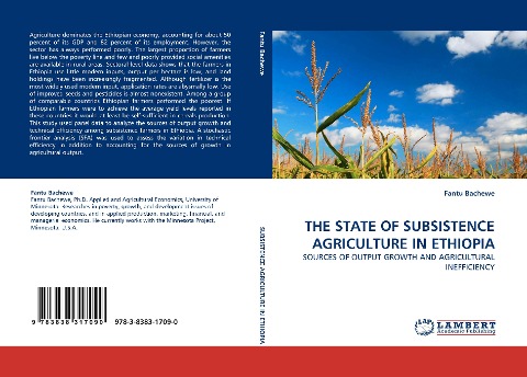 THE STATE OF SUBSISTENCE AGRICULTURE IN ETHIOPIA: SOURCES OF OUTPUT GROWTH AND AGRICULTURAL INEFFICIENCY