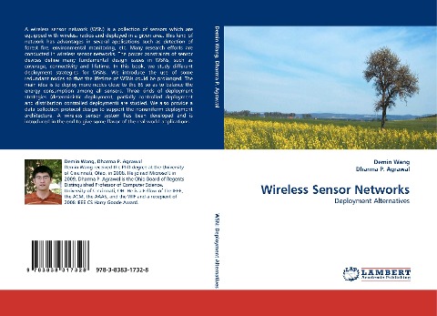 Wireless Sensor Networks: Deployment Alternatives
