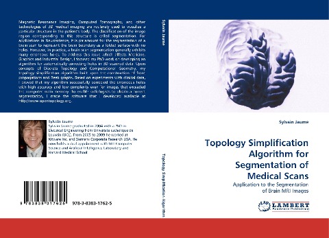 Topology Simplification Algorithm for Segmentation of Medical Scans: Application to the Segmentation of Brain MRI Images