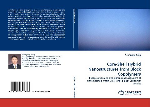 Core-Shell Hybrid Nanostructures from Block Copolymers: Encapsulation and One-Dimensional Alignment of Nanomaterials within Cross-Linked Block Copolymer Micelles