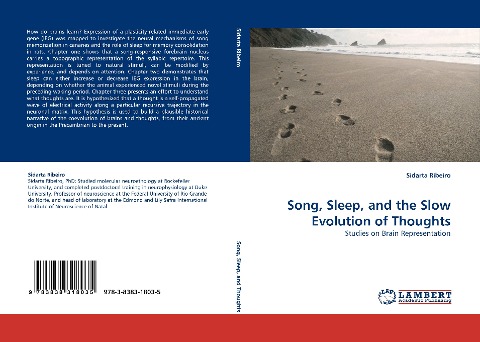 Song, Sleep, and the Slow Evolution of Thoughts: Studies on Brain Representation