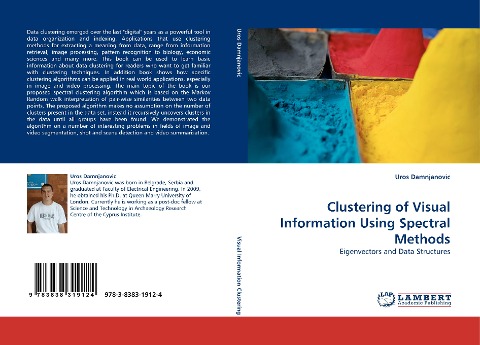 Clustering of Visual Information Using Spectral Methods: Eigenvectors and Data Structures
