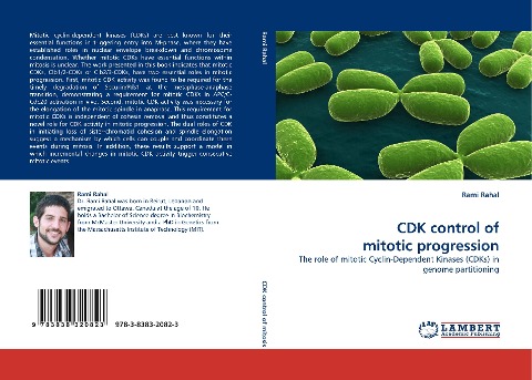 CDK control of mitotic progression: The role of mitotic Cyclin-Dependent Kinases (CDKs) in genome partitioning