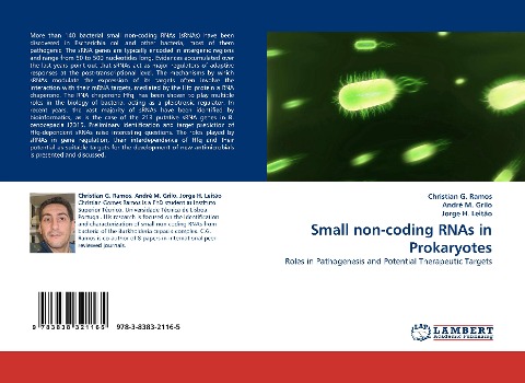 Small non-coding RNAs in Prokaryotes: Roles in Pathogenesis and Potential Therapeutic Targets