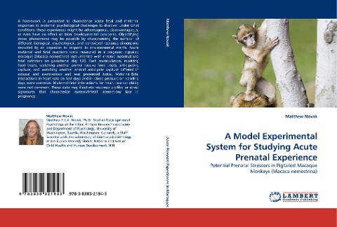 A Model Experimental System for Studying Acute Prenatal Experience: Potential Prenatal Stressors in Pigtailed Macaque Monkeys (Macaca nemestrina)