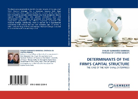 DETERMINANTS OF THE FIRMS CAPITAL STRUCTURE: THE CASE OF THE VERY SMALL ENTERPRISES