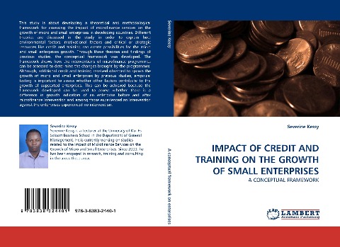 IMPACT OF CREDIT AND TRAINING ON THE GROWTH OF SMALL ENTERPRISES: A CONCEPTUAL FRAMEWORK