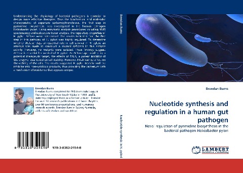 Nucleotide synthesis and regulation in a human gut pathogen: Novel regulation of pyrimidine biosynthesis in the bacterial pathogen Helicobacter pylori