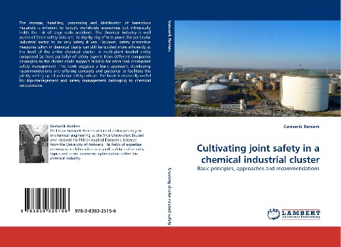 Cultivating joint safety in a chemical industrial cluster: Basic principles, approaches and recommendations