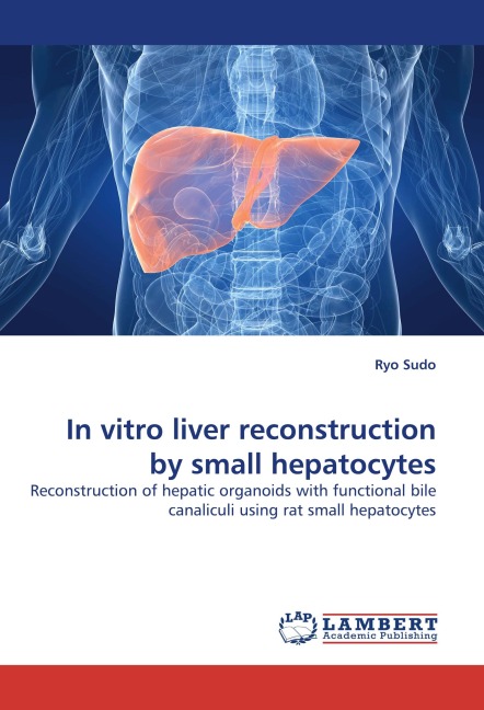 In vitro liver reconstruction by small hepatocytes: Reconstruction of hepatic organoids with functional bile canaliculi using rat small hepatocytes