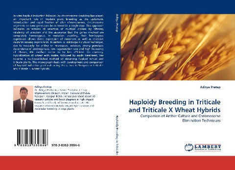 Haploidy Breeding in Triticale and Triticale X Wheat Hybrids: Comparison of Anther Culture and Chromosome Elimination Techniques