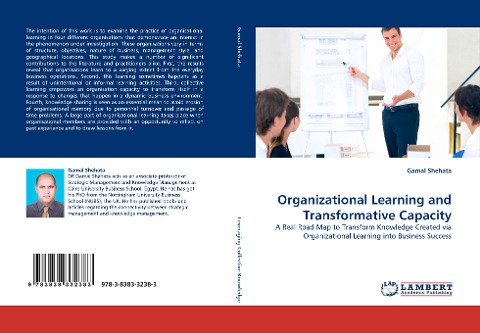 Organizational Learning and Transformative Capacity: A Real Road Map to Transform Knowledge Created via Organizational Learning into Business Success