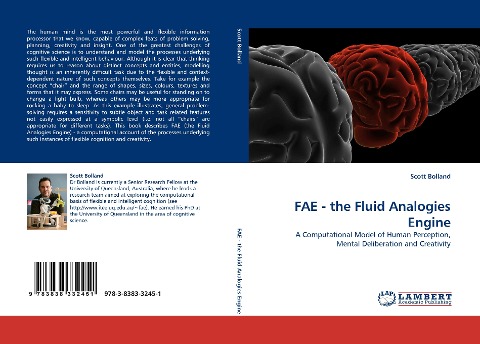 FAE - the Fluid Analogies Engine: A Computational Model of Human Perception, Mental Deliberation and Creativity