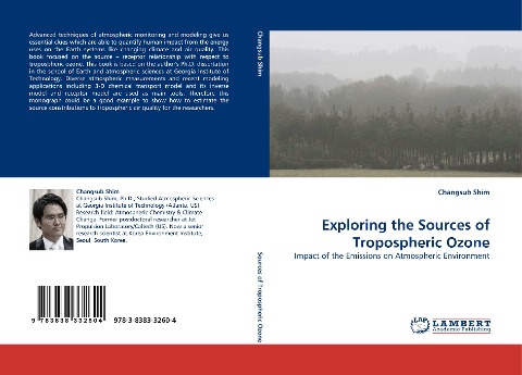 Exploring the Sources of Tropospheric Ozone: Impact of the Emissions on Atmospheric Environment