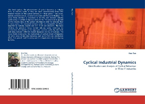 Cyclical Industrial Dynamics: Identification and Analysis of Cyclical Behaviour in Three IT Industries