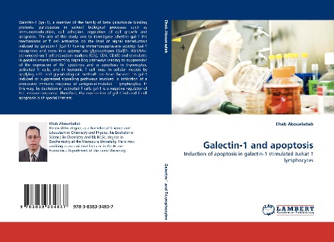 Galectin-1 and apoptosis: Induction of apoptosis in galectin-1 stimulated Jurkat T lymphocytes