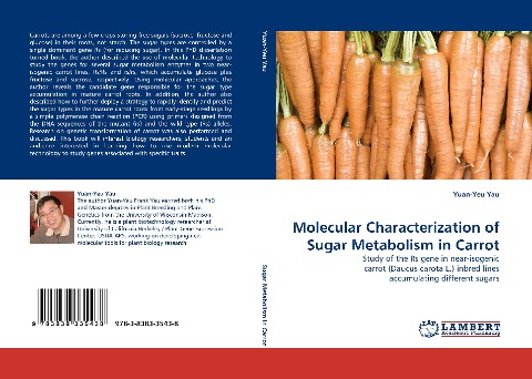Molecular Characterization of Sugar Metabolism in Carrot: Study of the Rs gene in near-isogenic carrot (Daucus carota L.) inbred lines accumulating different sugars