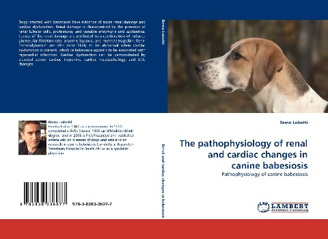 The pathophysiology of renal and cardiac changes in canine babesiosis: Pathophysiology of canine babesiosis