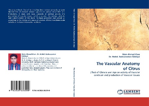 The Vascular Anatomy of Citrus: Effect of Climate and Age on activity of Vascular cambium and production of Vascular tissues