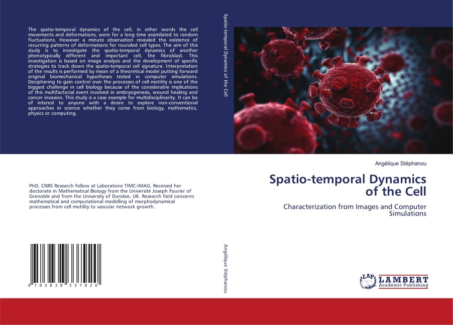 Spatio-temporal Dynamics of the Cell: Characterization from Images and Computer Simulations