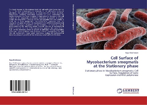 Cell Surface of Mycobacterium smegmatis at the Stationary phase: Stationary phase in Mycobacterium smegmatis: Cell Surface, Regulation of Gene  Expression and RNA polymerase