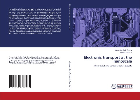 Electronic transport at the nanoscale: Theoretical and computational aspects