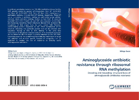 Aminoglycoside antibiotic resistance through ribosomal RNA methylation: Decoding and miscoding: structural basis of aminoglycoside antibiotics resistance